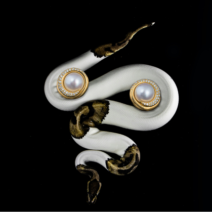 Snake-shaped brooch